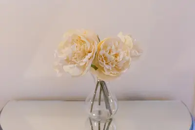two white flowers in a vase on a table at 2 Bedroom Penthouse, Clockhouse, Hoddessdon in Hoddesdon