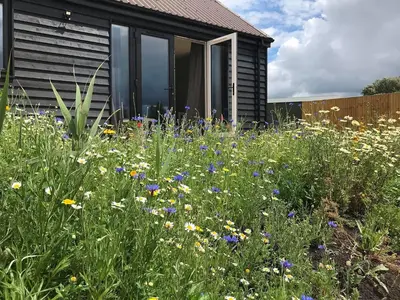 a field of flowers in front of a house at Fox Lodge - Uk30605 in Pidley