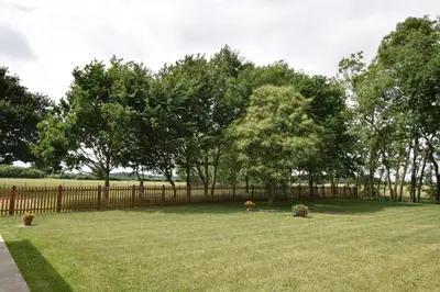 a yard with a fence and some trees at wingate cottage in Southburgh