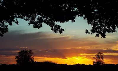 a sunset with two trees in the foreground at wingate cottage in Southburgh