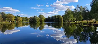 a lake with trees and clouds in the sky at Lakeland Lodge with private Hot Tub and fishing in Hatfield Peverel