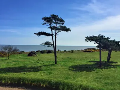 two trees in a field with the ocean in the background at The Dower Cottage in Sizewell