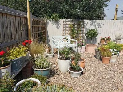 a garden with lots of potted plants and a chair at The Garden Room in Leiston