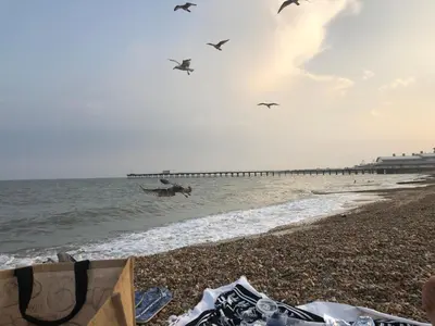 a group of birds flying over the beach at Sea view studio in Felixstowe