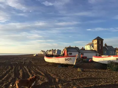a dog walking on the beach with two boats at The Grange, Aldeburgh in Aldeburgh