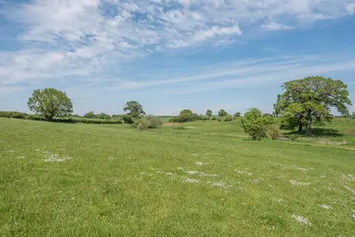 a field of green grass with a tree in it at Chapel Cottage at Pond Hall Farm, Stunnning Property with Private Hot Tub, Hadleigh in Ipswich