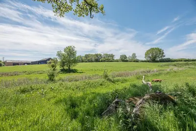 a field of green grass with a cow in the distance at Chapel Cottage at Pond Hall Farm, Stunnning Property with Private Hot Tub, Hadleigh in Ipswich