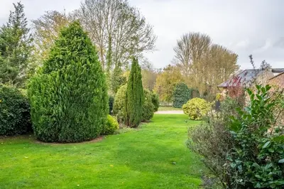 a garden with a christmas tree and bushes at Maltings Lodge in Chelsworth