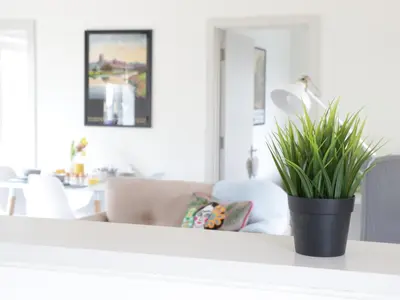 a plant in a black pot on a white table at Oak Cottage at Gravel Farm in Stretham