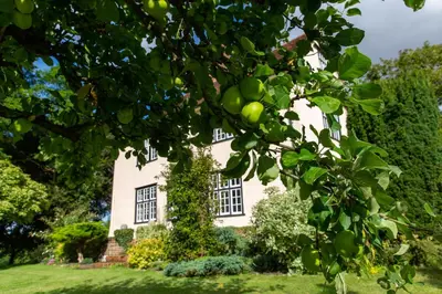 an apple tree in front of a house at Pounce Hall -Stunning historic home in rural Essex in Saffron Walden