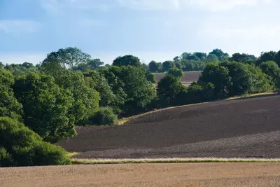 a plowed field with trees in the background at The Stables, relax in 5 star style and comfort with lovely walks all around in Great Maplestead