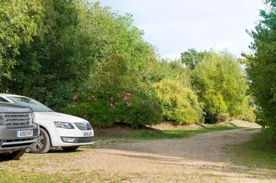 a white car parked on a dirt road next to trees at Orchard Cottage cosy rustic comfort just across the fields to a great Pub in Edwardstone