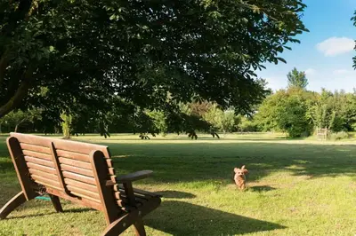 a dog standing next to a bench in a park at Rose Cottage rural cosiness with footpaths to the local Macro Brewery Pub in Edwardstone