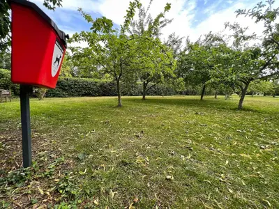 a red bird feeder in a field with trees at Snow Cottage laid back style with footpaths to a great Macro Brewery Pub in Edwardstone