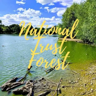 a lake with the words natural just forest written at Stansted Airport Guest Rooms in Bishops Stortford