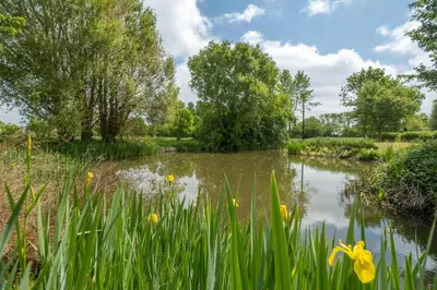a pond in a park with flowers and trees at East Green Farm Cottage - Studio Barn - Aldeburgh Coastal Cottages in Kelsale