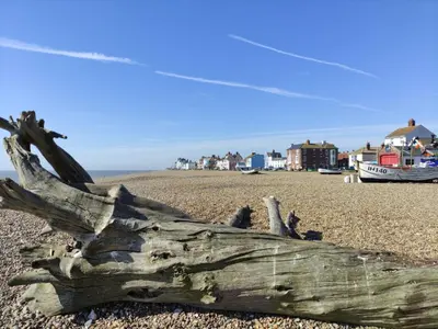 a piece of driftwood on a beach with a boat at Lily Cottage, Leiston in Leiston