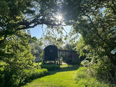 a barn in the middle of a yard with trees at Stompy's Hut in Laxfield