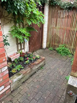 a garden in front of a fence with a tree at Cobwebs in Kedington
