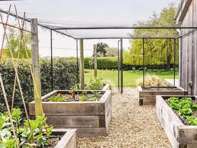 a garden with three raised beds of plants at Spring House by The Suffolk Cottage Collection in Aldeburgh