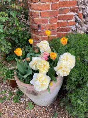 a pot of flowers sitting next to a brick wall at Simpers Drift, Great Glemham in Saxmundham