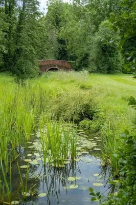 a pond with a bridge in a field with tall grass at The Cart Lodge - Aldeburgh Coastal Cottages in Wickham Market