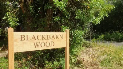 a sign that reads blackbar wood in front of a tree at Finest Retreats - Blackbarn Wood in Balsham