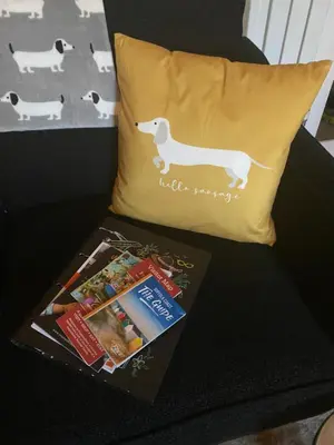 a pillow and a book on a couch with a dog pillows at Self-contained, Framlingham Snug, Private Parking, no cooking facilities in Framlingham