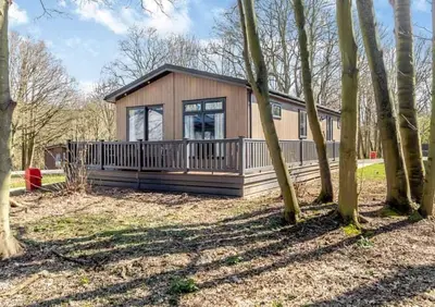 a small house with a porch in the woods at Woolverstone Marina and Lodge Park in Ipswich