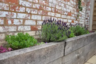 a retaining wall with purple flowers and plants at 1 Tailors Cottage, Woodbridge in Woodbridge
