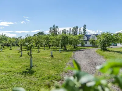 a field of apple trees with a house in the background at Russets in North Weald