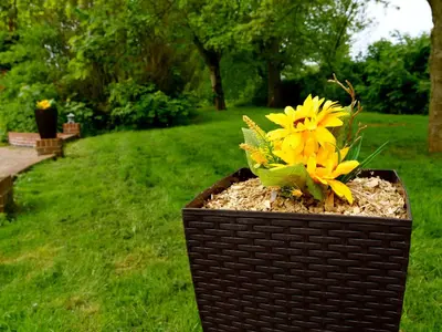 a yellow flower in a basket in a park at Deluxe 2 Bed Versace Bungalow Hot Tub, Sky TV, Cinema Screen Saffron Walden in Saffron Walden