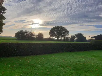 a sunset in a field with a hedge and trees at Cosy Barn Conversion 3BR (4 pax), Quiet, Close to Pin Mill in Chelmondiston