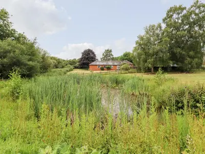 a field of tall grass with a red house in the background at The Brambles in Colchester