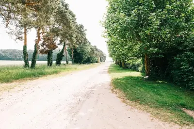a dirt road with trees on the side of a field at The Mill B&B in Thetford