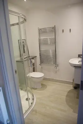 a bathroom with a toilet and a sink at The Mill B&B in Thetford