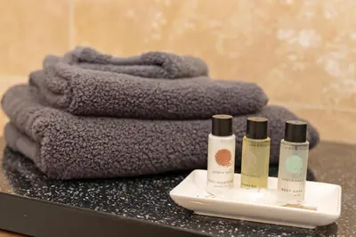 two bottles ofodorizers on a counter next to towels at The Lodge at Highlands in Everton