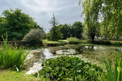 a pond in a garden with a waterfall at 2 Bed in Rumburgh oc-dgf in Rumburgh