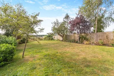 a yard with a fence and a tree at 3 Bed in Westleton Saxmundham oc-est in Westleton