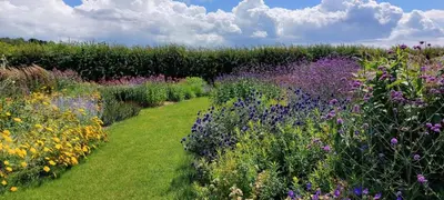 a garden with many different types of flowers at 2 Bed in Yoxford oc-hploug in Yoxford