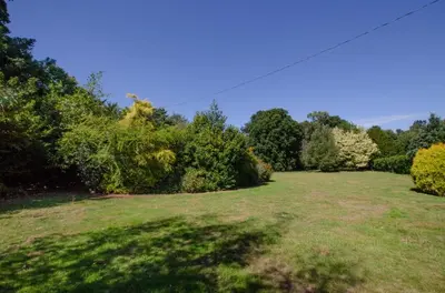 a large grass field with trees and bushes at 13 Bed in Tattingstone oc-tat26 in Tattingstone